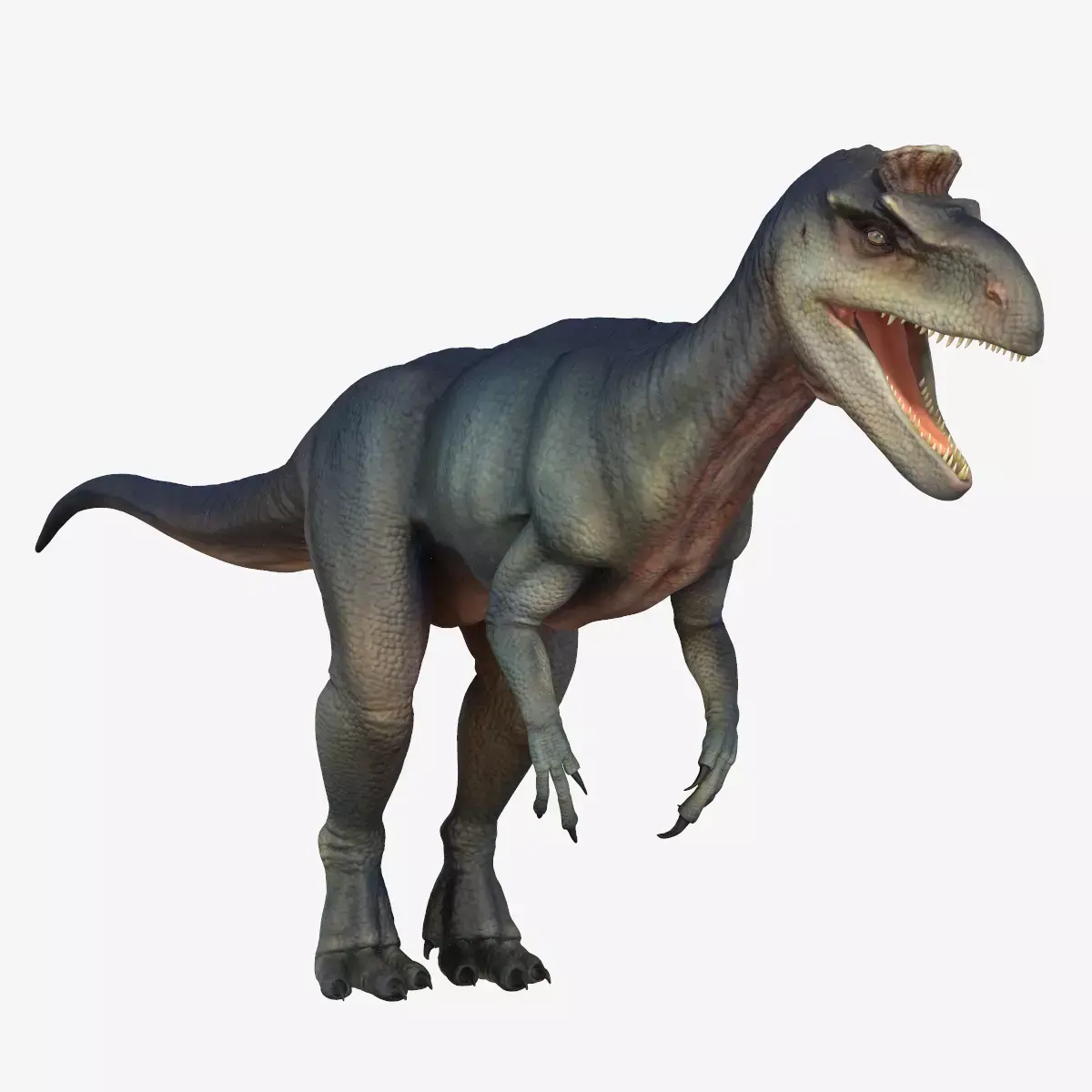 Cryolophosaurus dinosaur Low-poly 3D model
