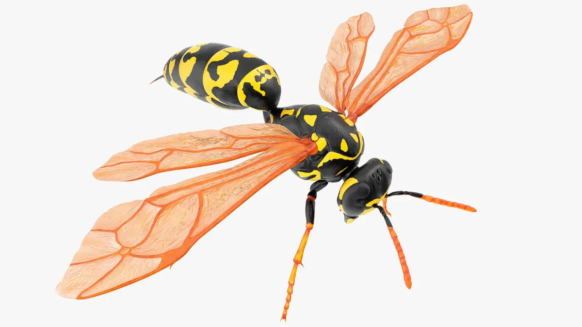Paper Wasp Rigged for Maya 3D model