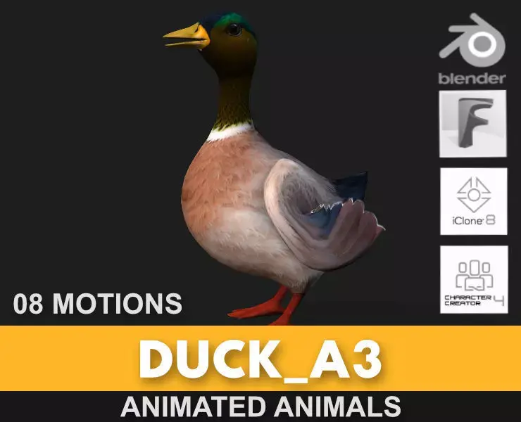 Duck A3 3D model