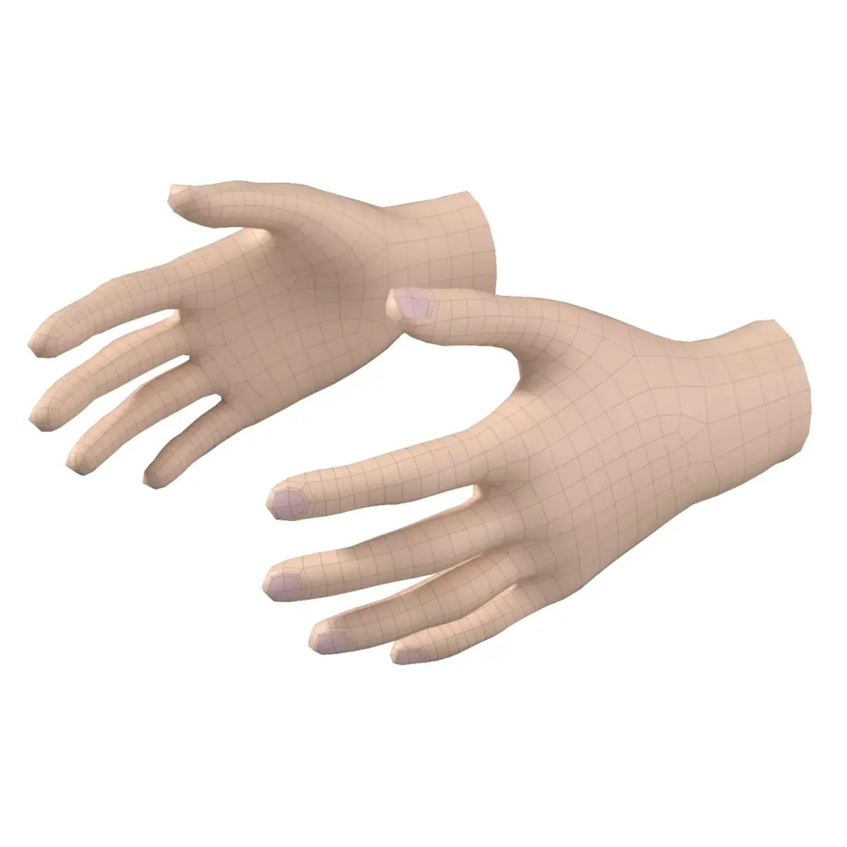 Female Hand Base Mesh 04 3D model