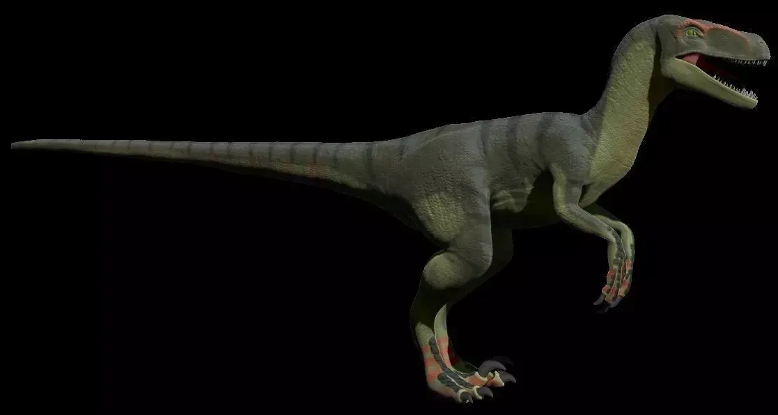 Rigged Deinonychus Low-poly 3D model
