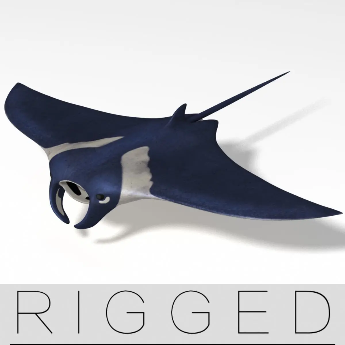 manta ray  rigged 3D model