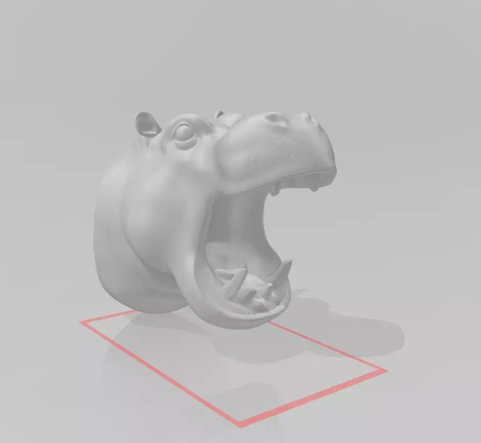 Hippotamus Head 3D model