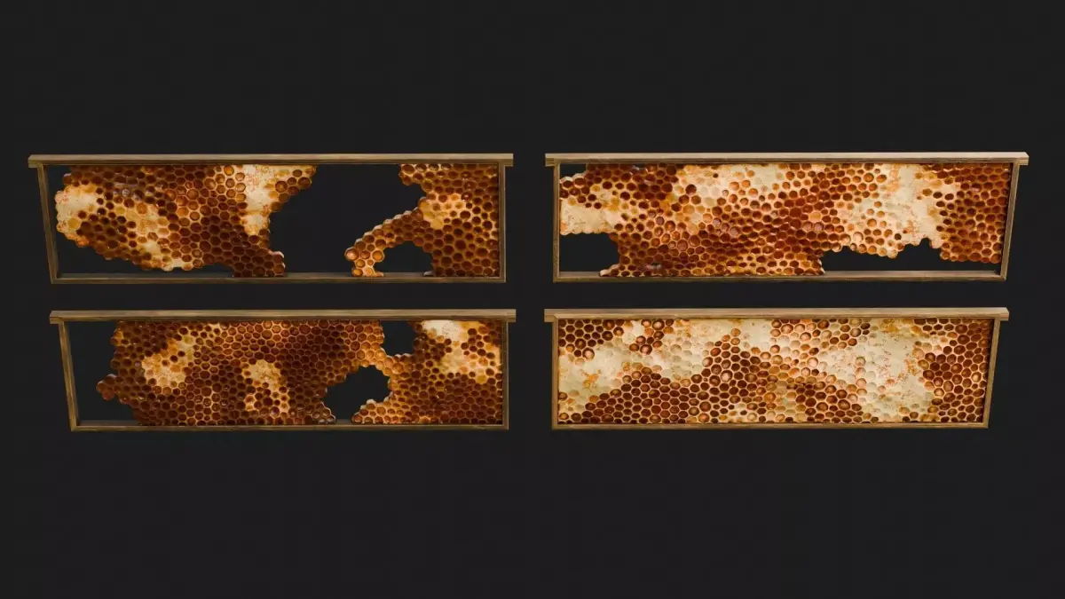 Honeycomb Frames 3D model