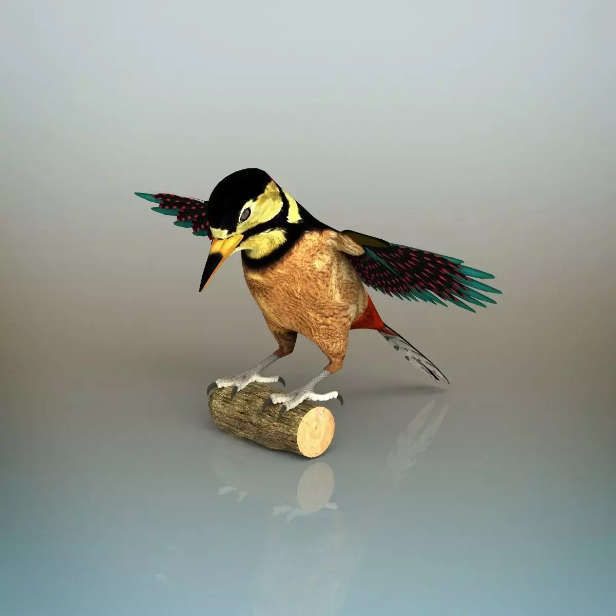 Woodpecker Bird 3D model