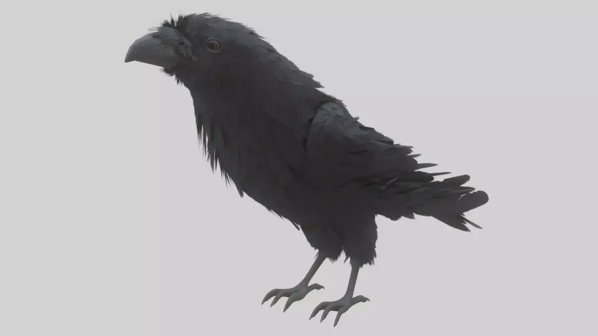 Animated Low Poly Raven Model With PBR Materials Low-poly 3D model
