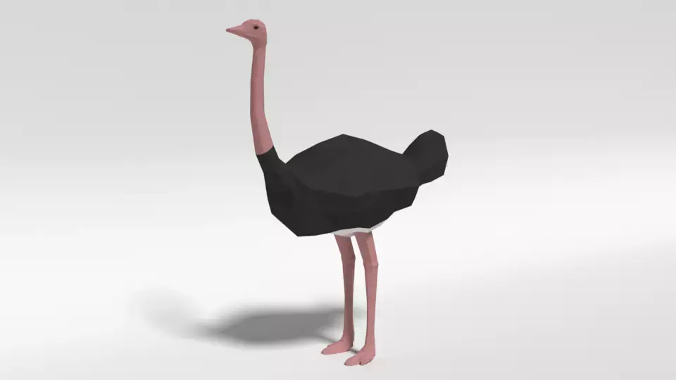 Low Poly Cartoon Ostrich Low-poly 3D model