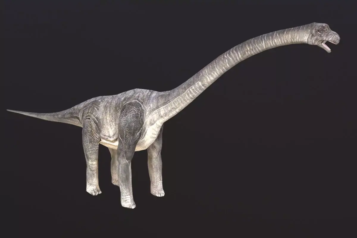 Brachiosaurus dinosaur Low-poly 3D model shop