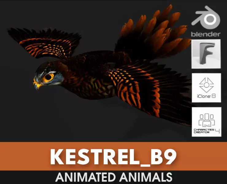 Kestrel B9 Low-poly 3D model
