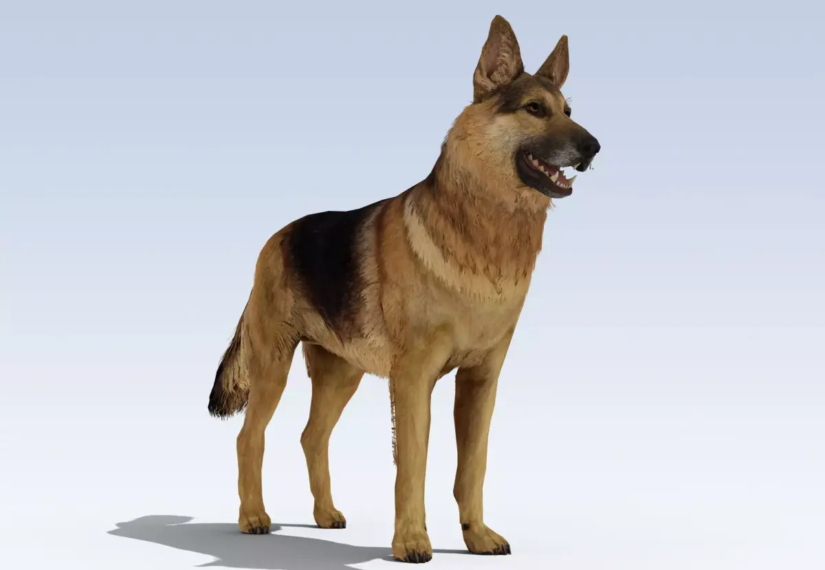German Shepherd Dog Rig Low-poly 3D model