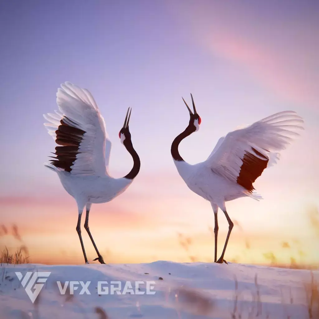 Red-Crowned Crane Animation VFX Grace 3D model