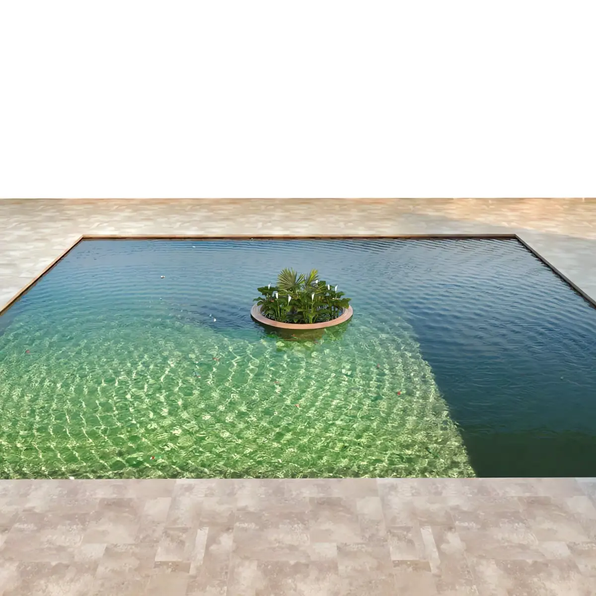 Bassin Set 01 - Koi fishs 3D model