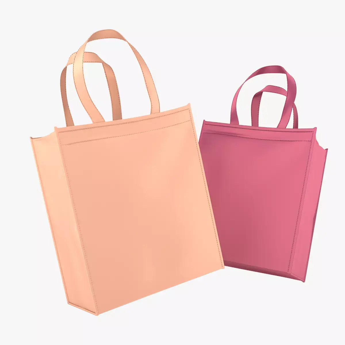 Eco Bag 3D model