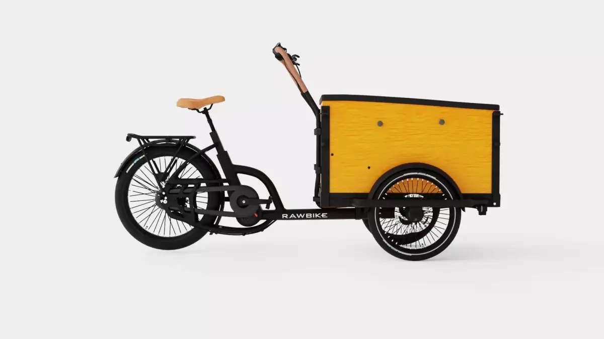 ECargo Squared Bike Low-poly 3D model