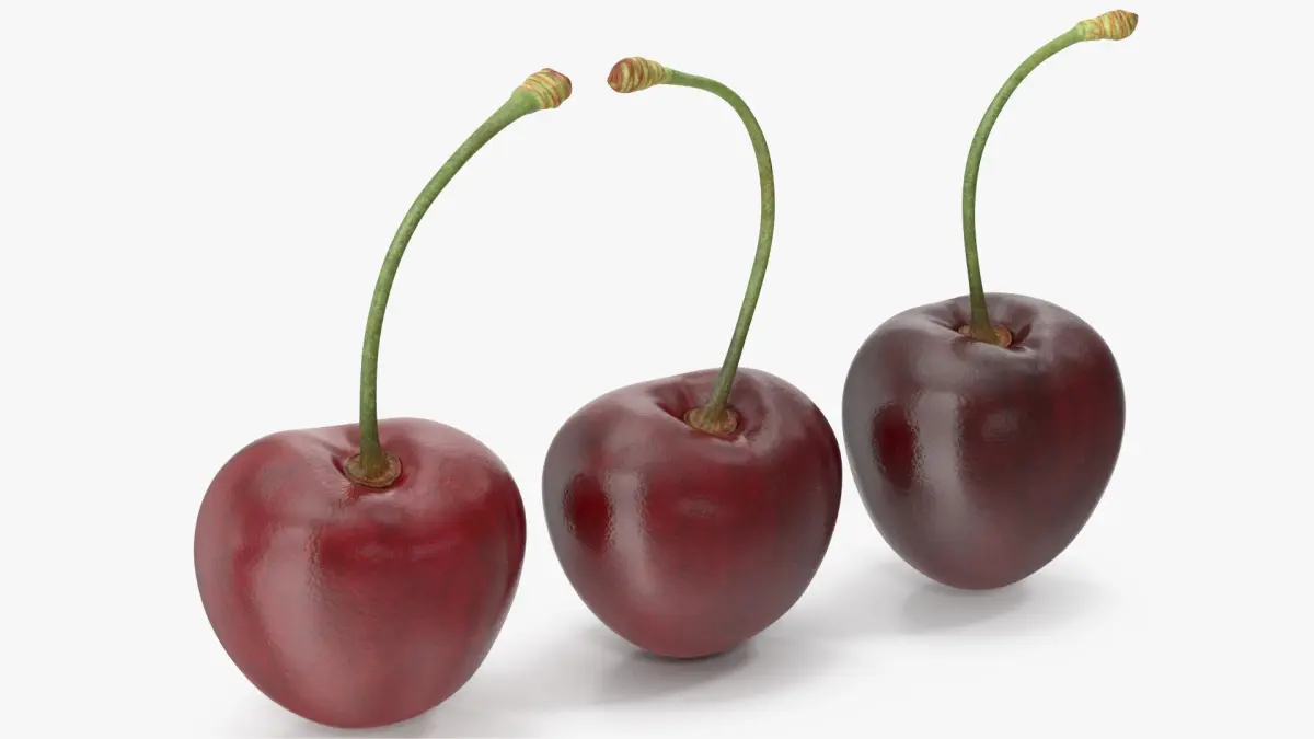 Cherries 3D model purchase