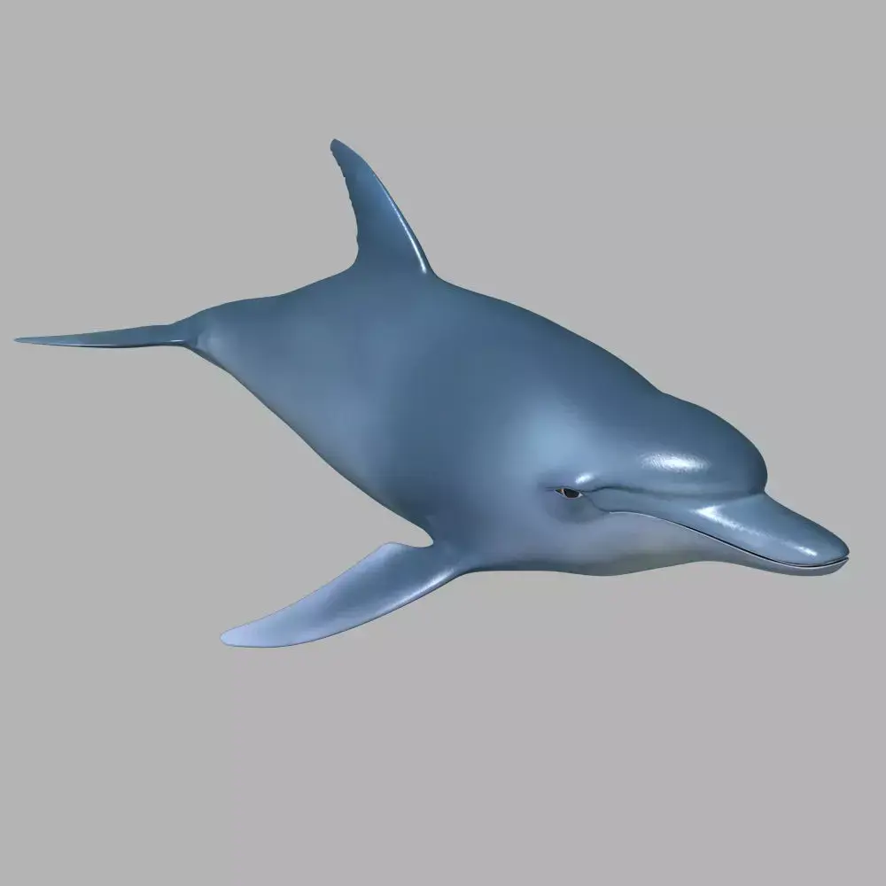 Dolphin - 3D model