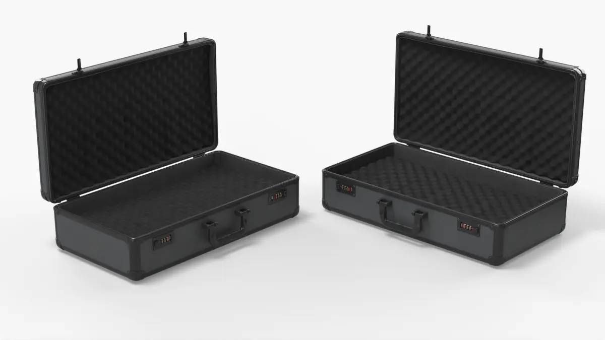 Protective Carry Case with Locks and Foam Insert Black 3D model