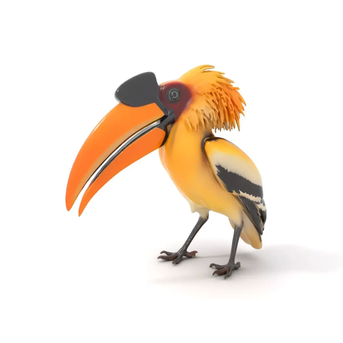 Vibrant Hornbill Bird model pack Low-poly 3D model