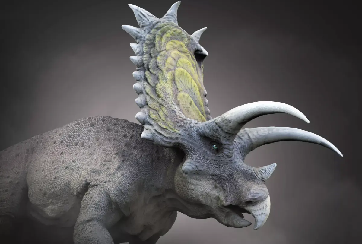 Pentaceratops V2 Low-poly 3D model