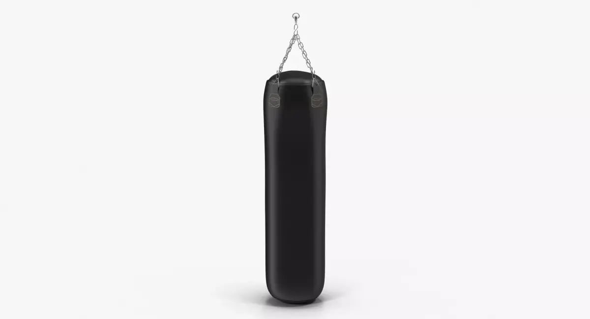 Punching Bag Black Generic Low-poly 3D model