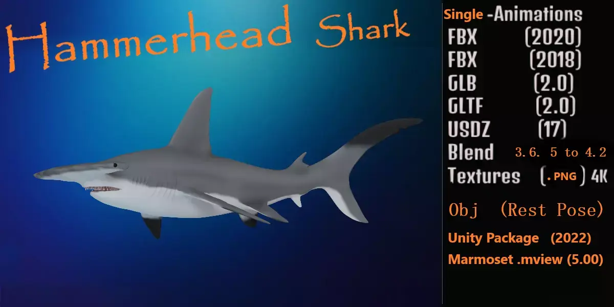 Hammerhead Shark Low-poly 3D model 4