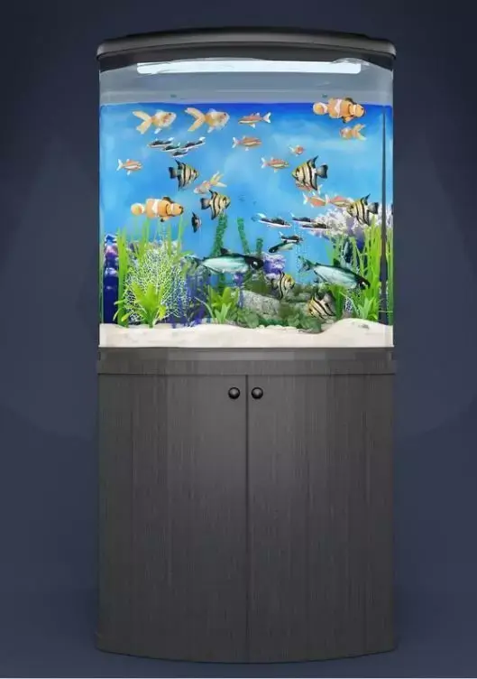 aquarium fish tank 3D model