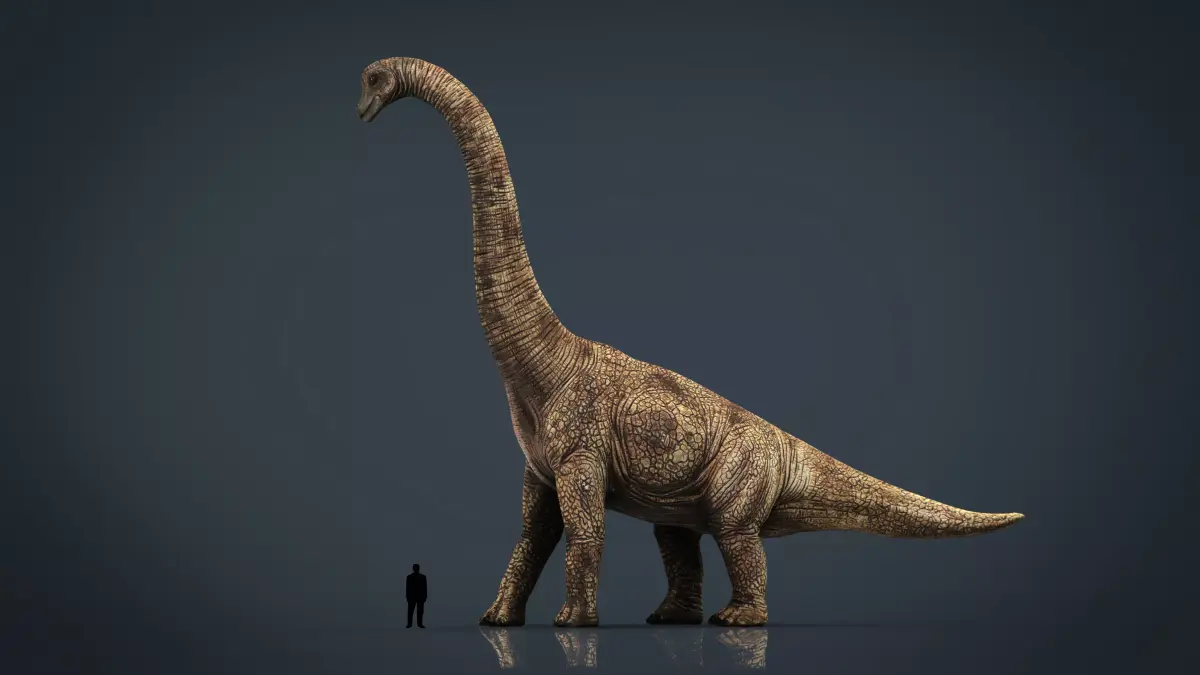Brachiosaurus dinosaur Low-poly 3D model 2