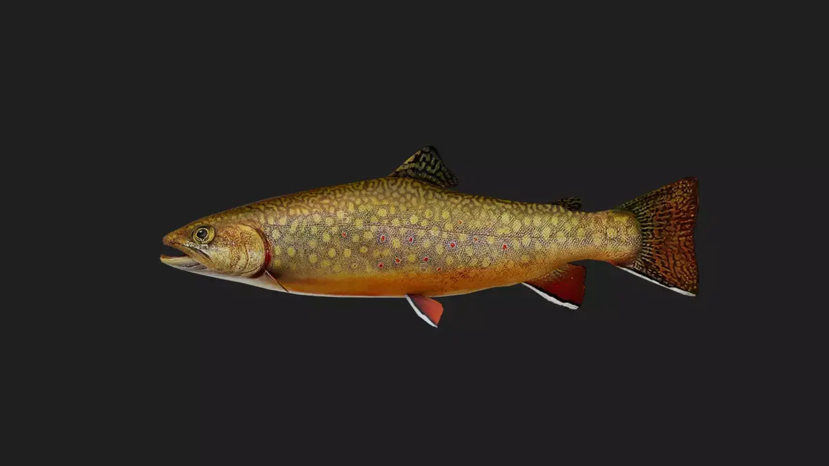 BrookTrout Low-poly 3D model