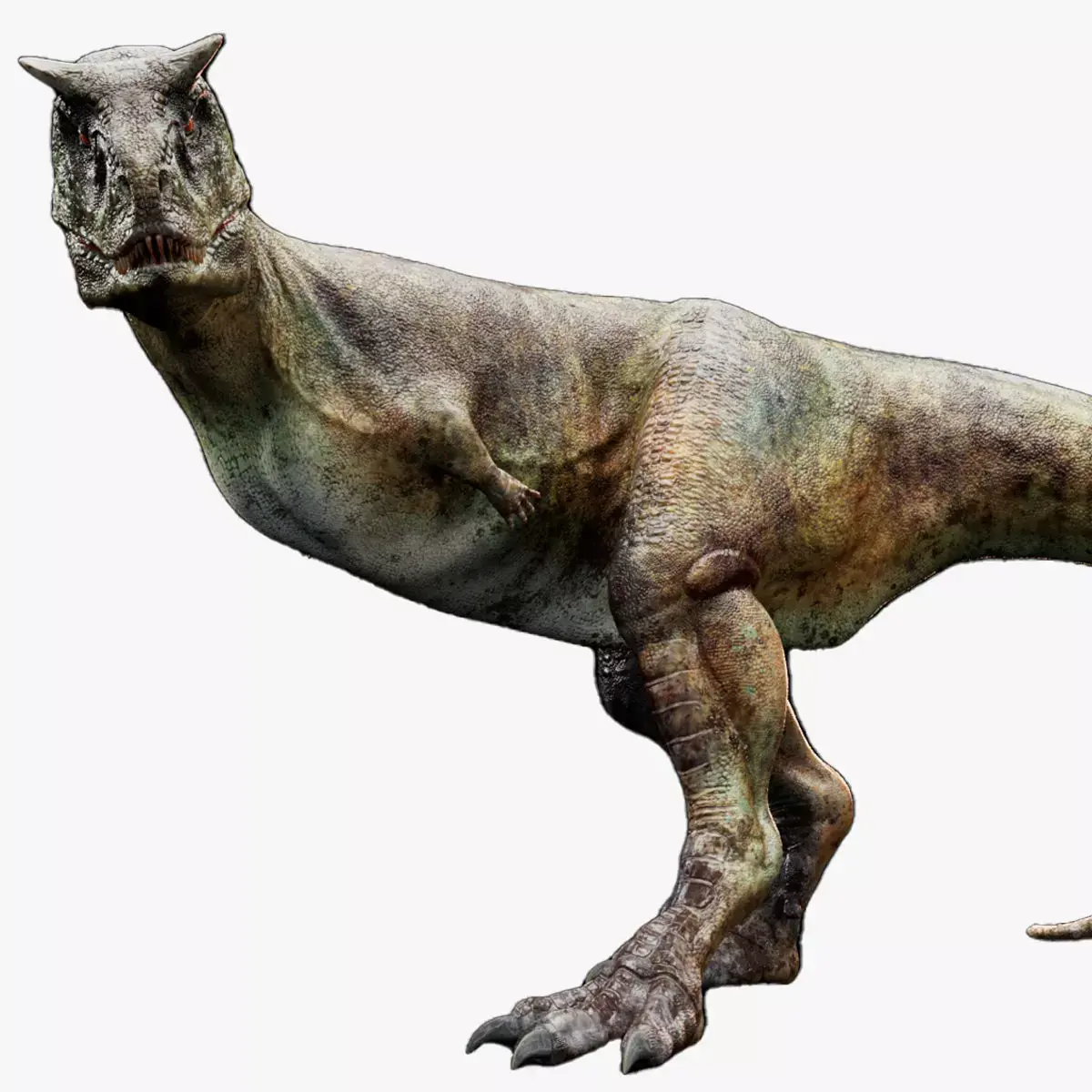 Dinosaur Carnotaurus dinosaur Low-poly 3D model