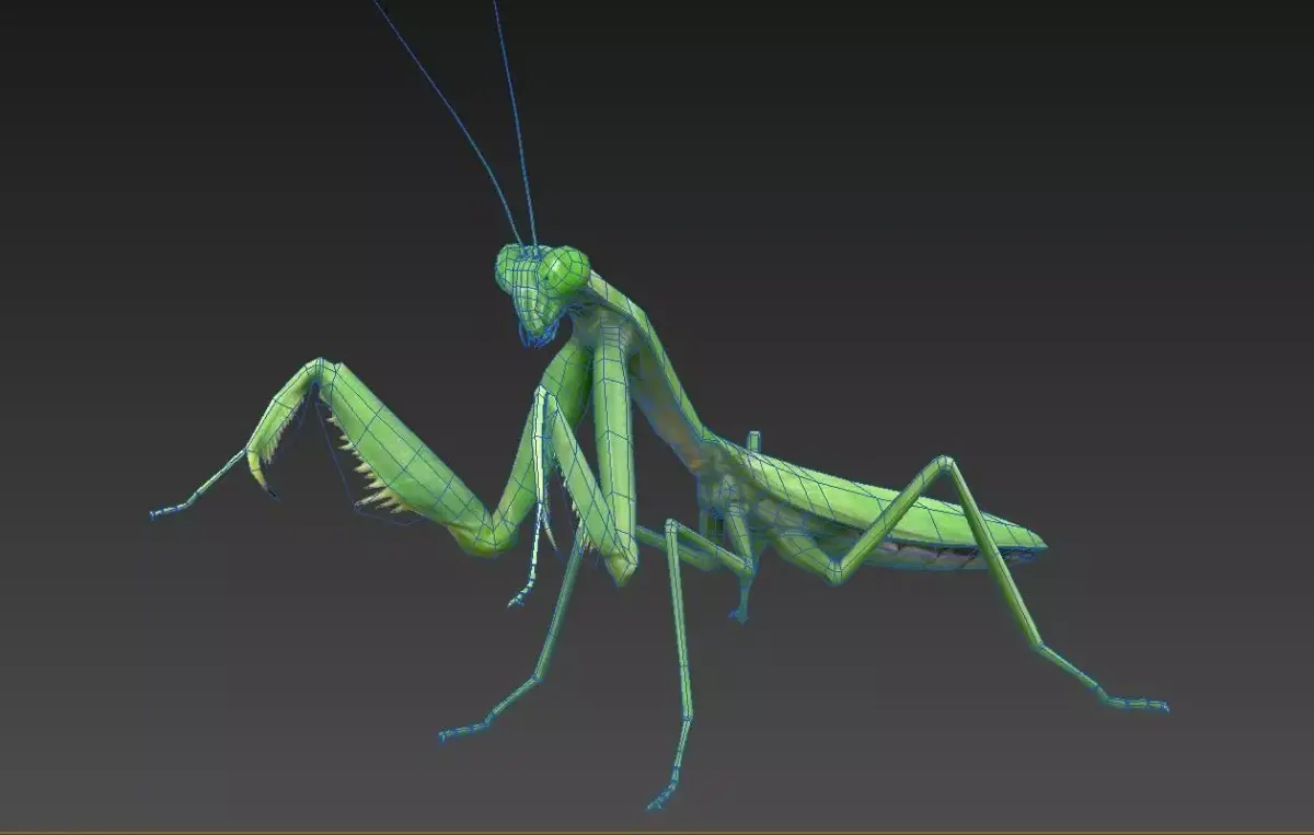 mantis insect Low-poly 3D model buy