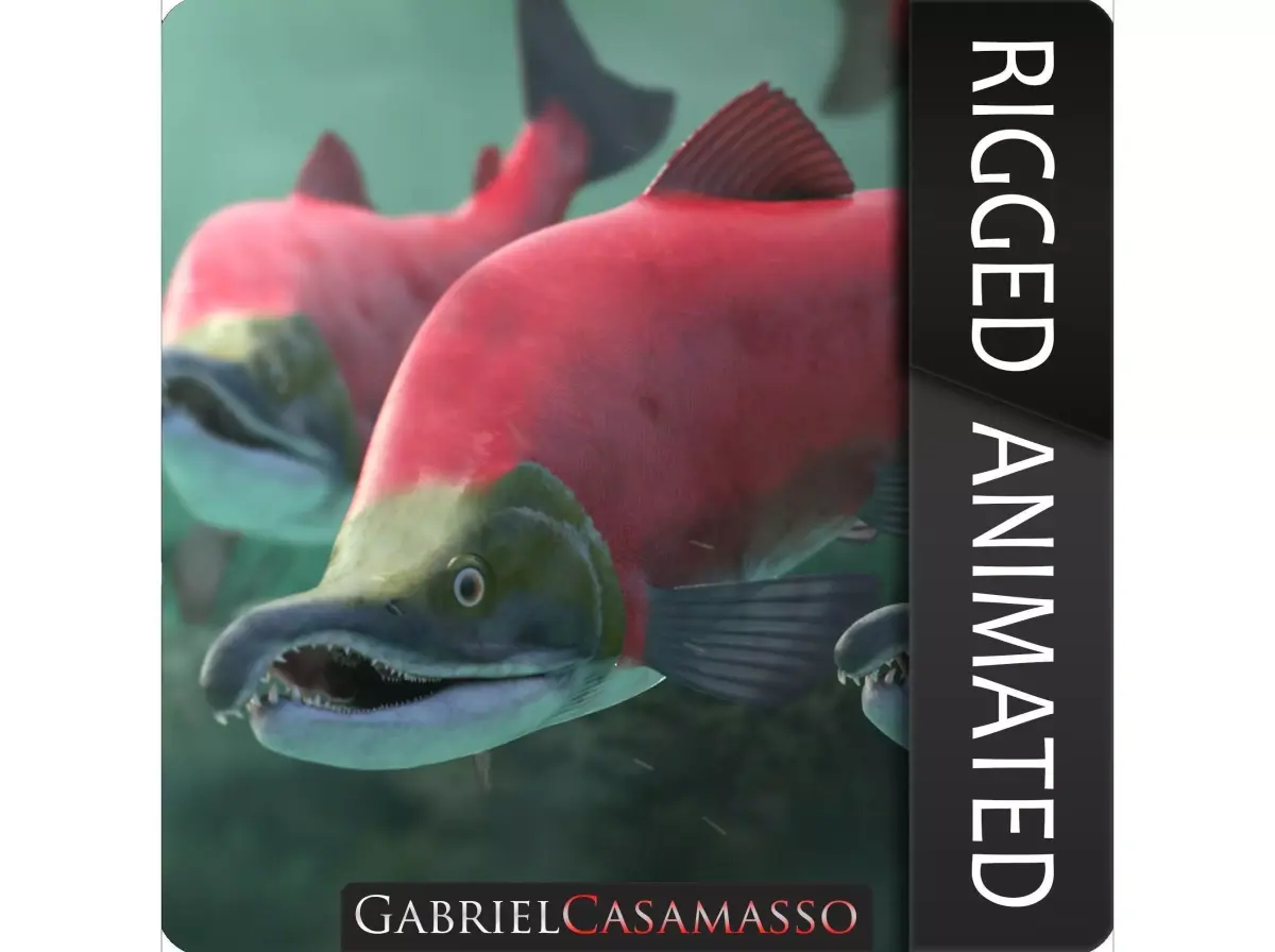 Oncorhynchus Nerka - The Red Sockeye Salmon 3D model
