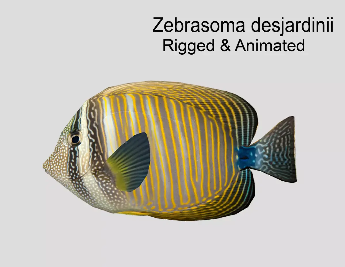 Zebrasoma desjardinii Realistic Animated Low-poly 3D model