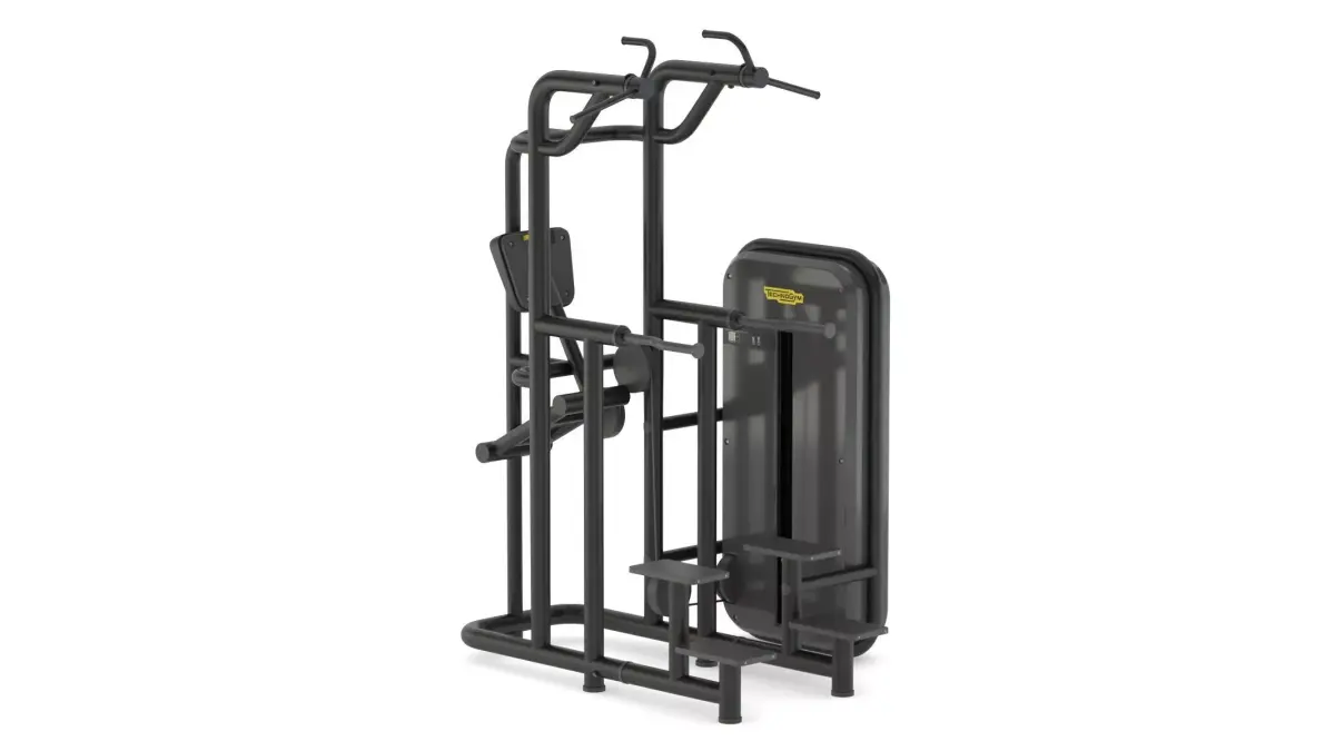 Technogym Bench Kneeling Easy Chin Dip 3D model