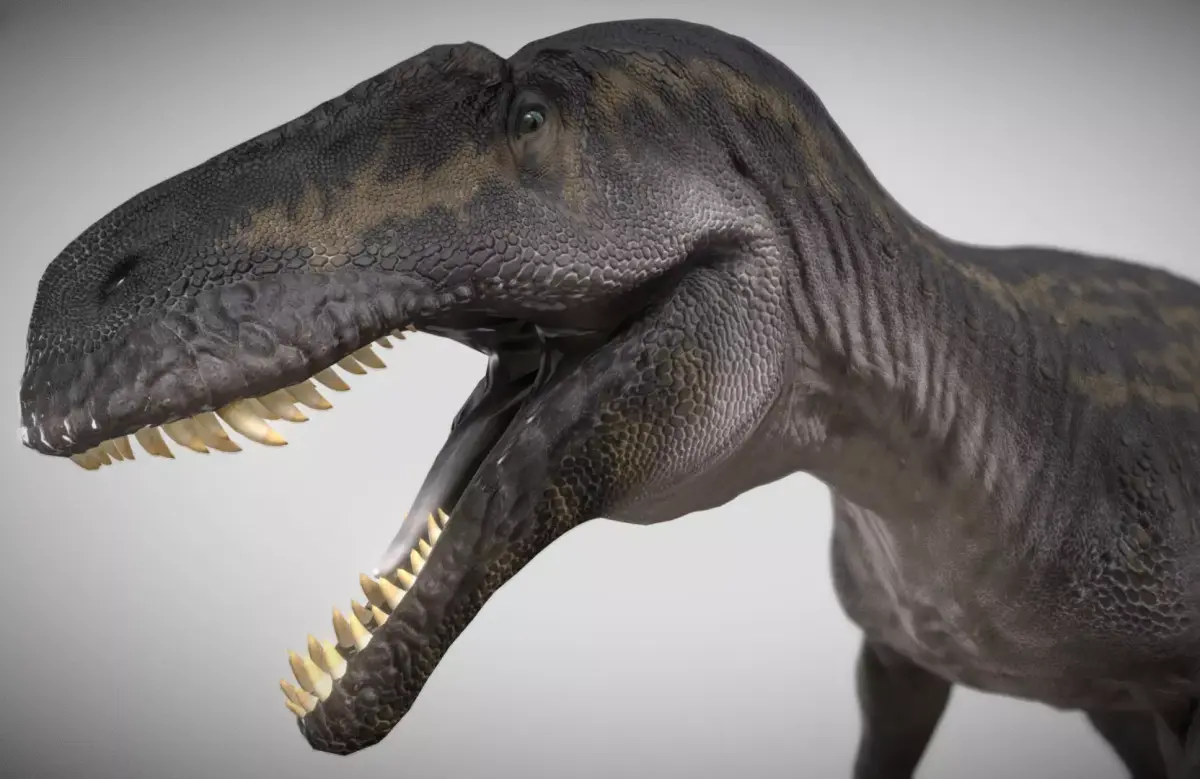 Neovenator a fearsome theropod dinosaur Low-poly 3D model
