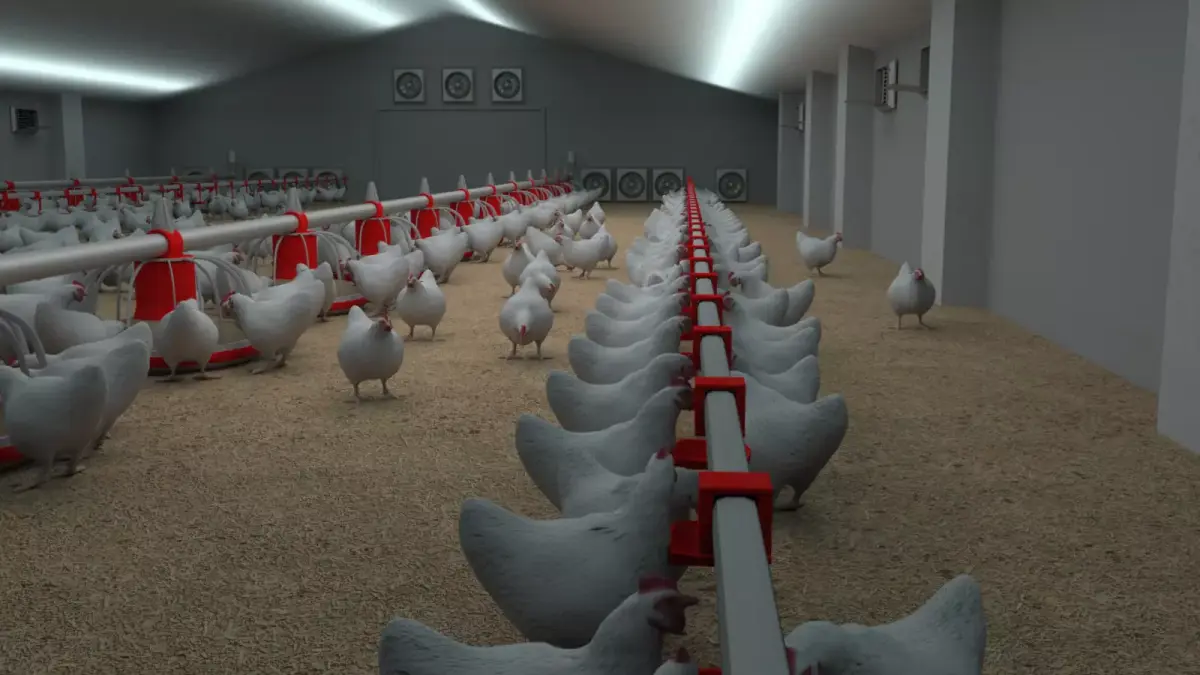 Poultry farm with rigged and animated chickens 3D model