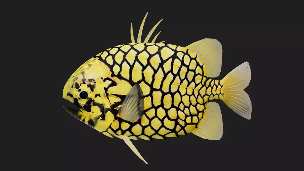 Snapper Low-poly 3D model 4