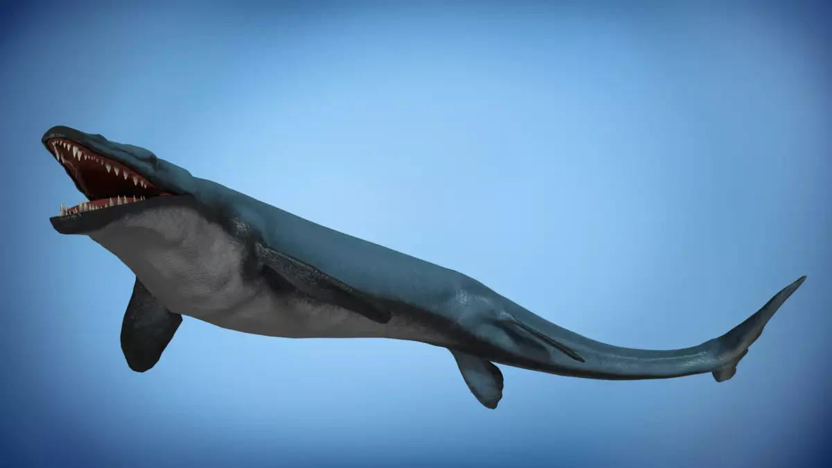 Basilosaurus Asset Pack Low-poly 3D model