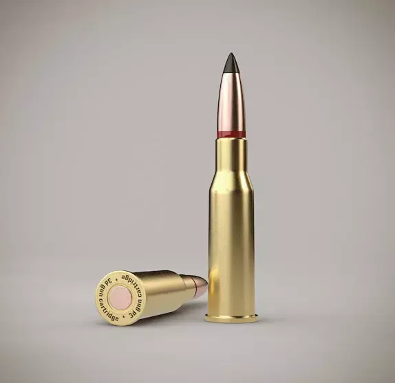 Ammunition  mm bullets 3D model