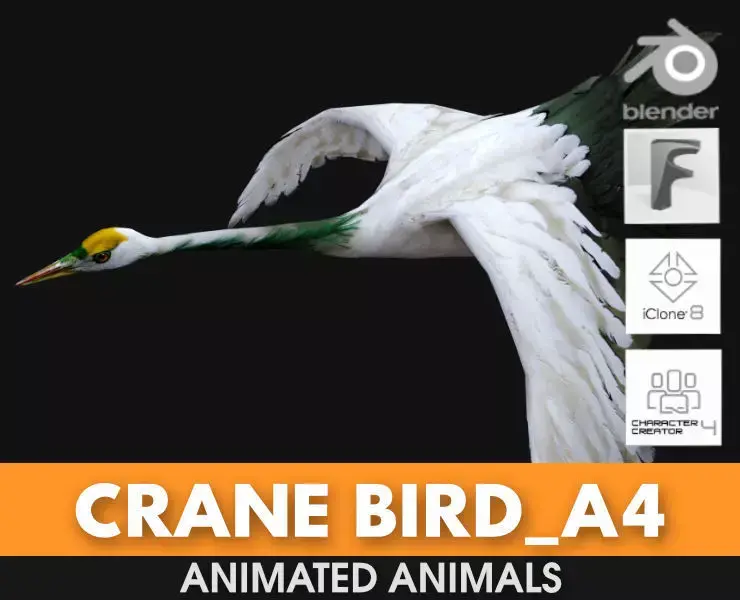 Crane Bird A4 3D model