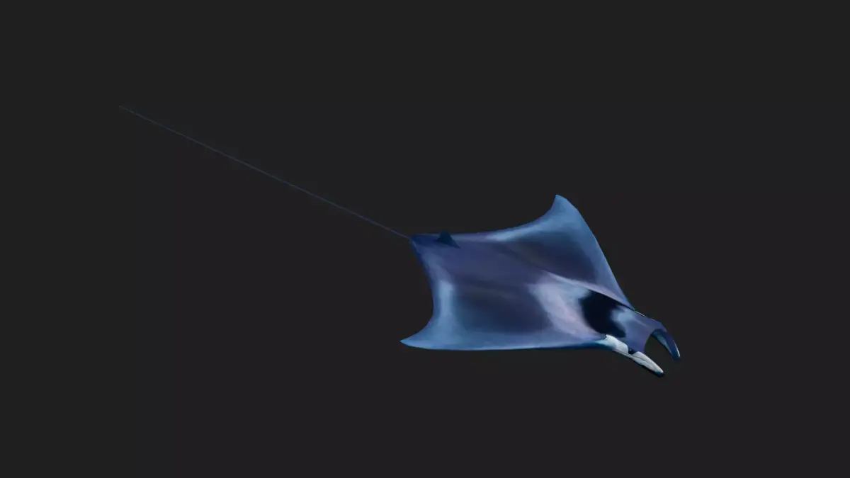Devilfish Low-poly 3D model