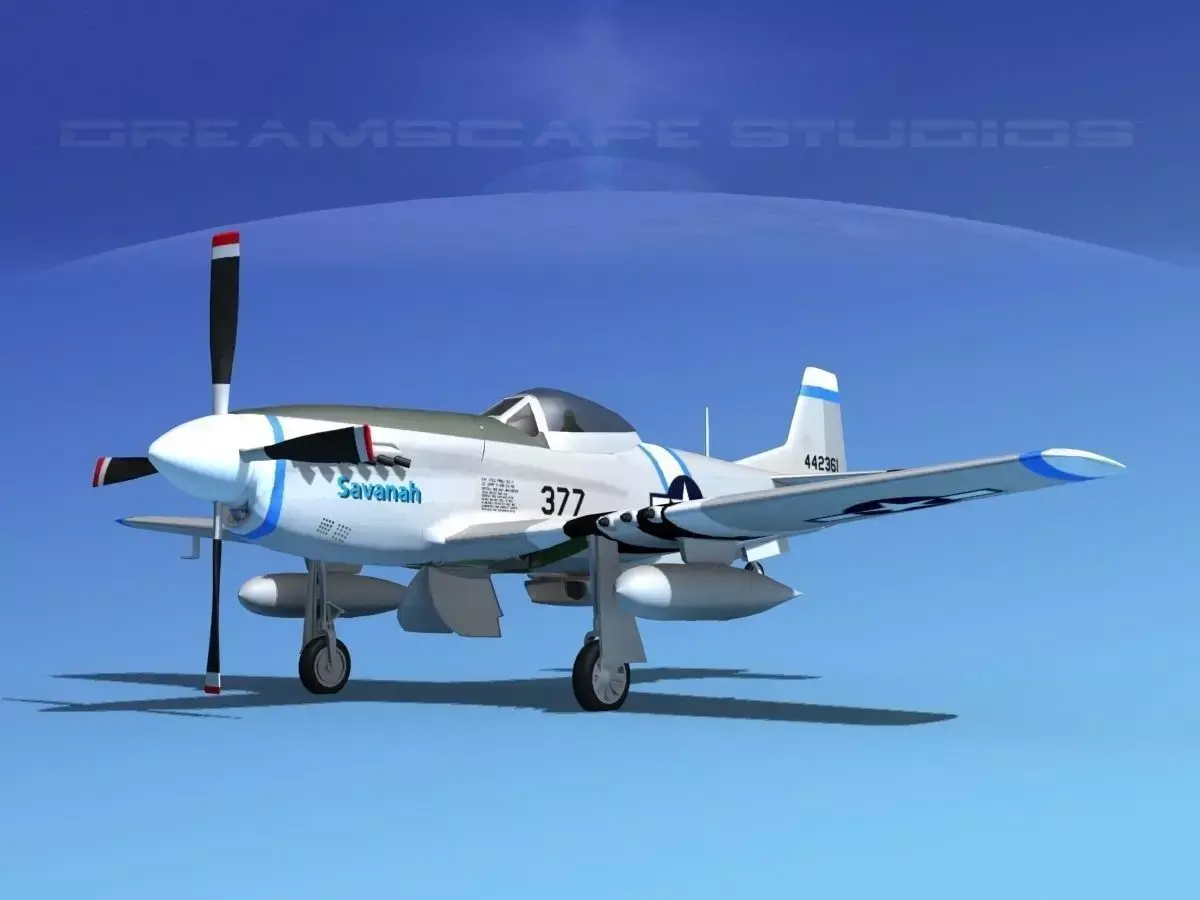 P-51D Mustang Savanah 3D model