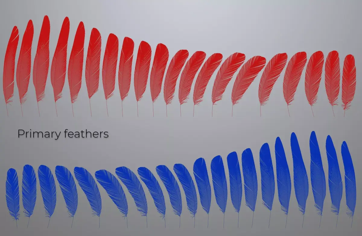 Feathers set for Macaw 3D model