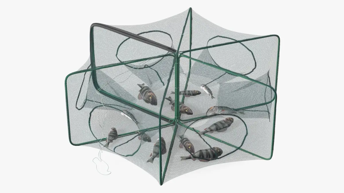 Automatic Pop-Up Fishing Trap and Captured Fish 3D model