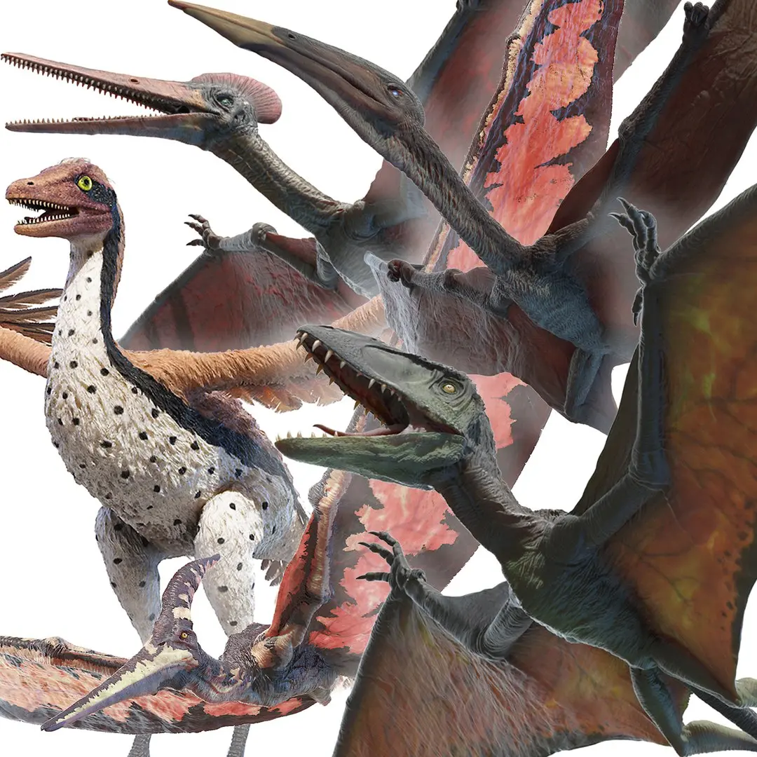 Dinopack Flying Static 3D model