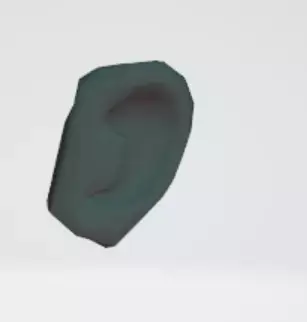 tooth and ear 3D model