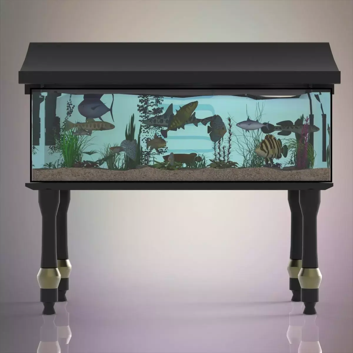 Fish aquarium 3D model
