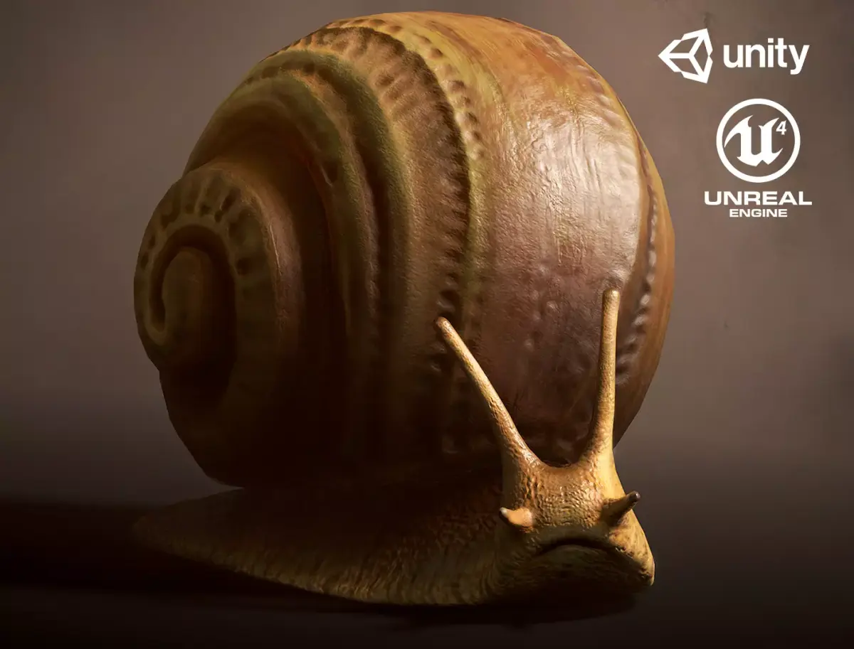 Land snail1 - Game Ready Low-poly 3D model Low-poly 3D model