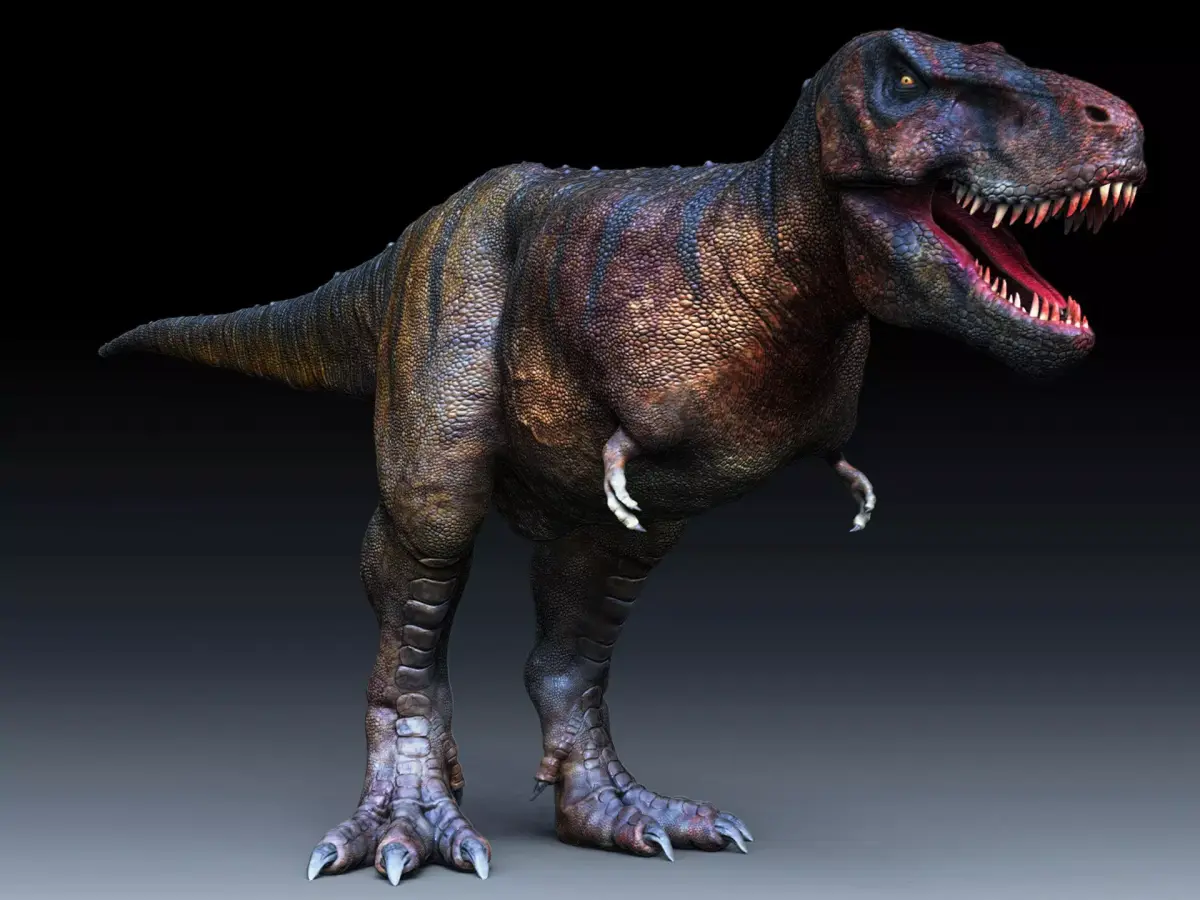 Dinosaur Tarbosaurus Bataar Sculpt Project 3D model