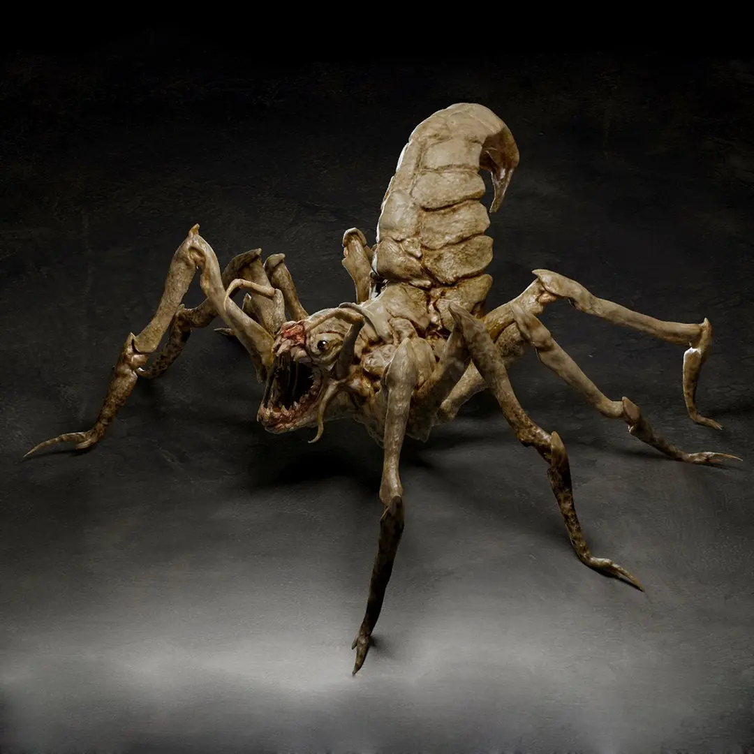 Spider creature 3D model