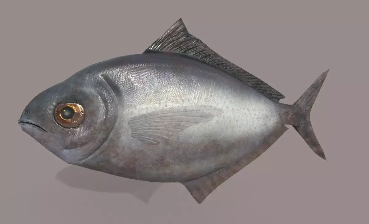 ButterFish fish Low-poly 3D model